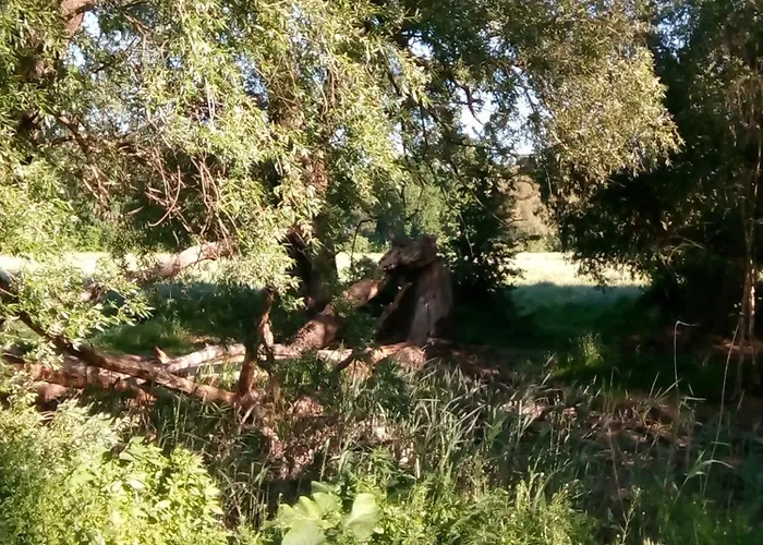 Eden 1 Апартаменты