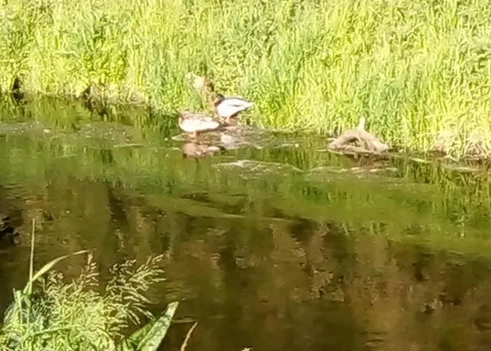 Eden 1 Appartement Hoppegarten