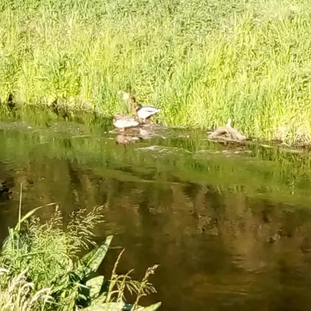 Eden 1 Lägenhet Hoppegarten